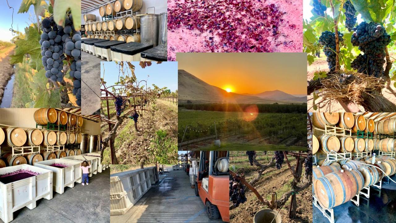 Sequoia View Vineyard Bed & Breakfast Sanger Exterior foto