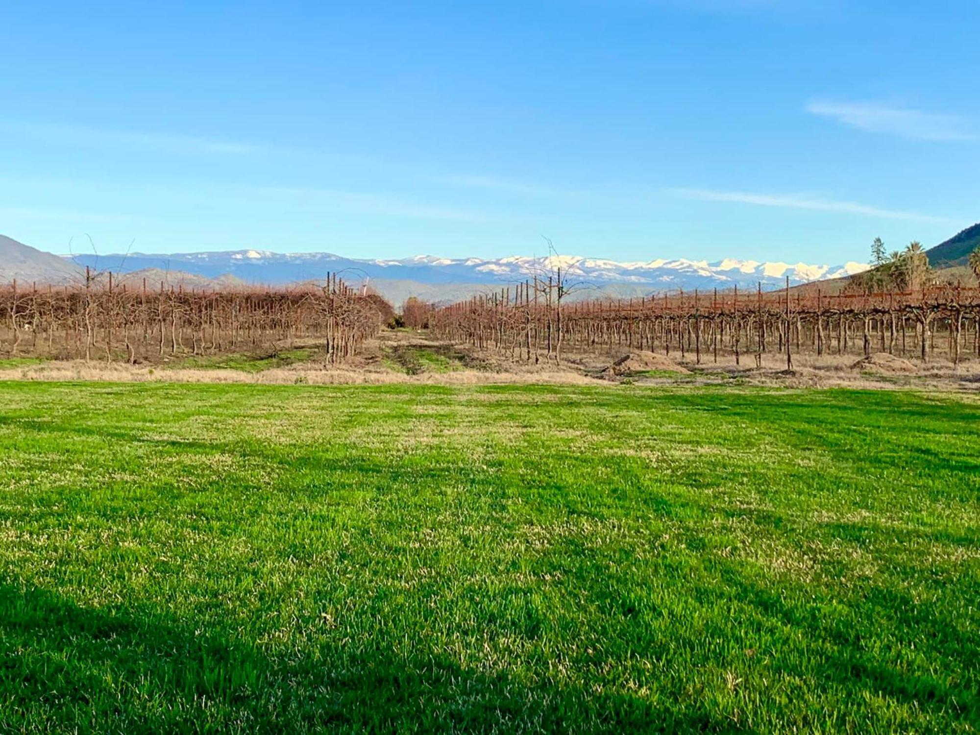 Sequoia View Vineyard Bed & Breakfast Sanger Exterior foto